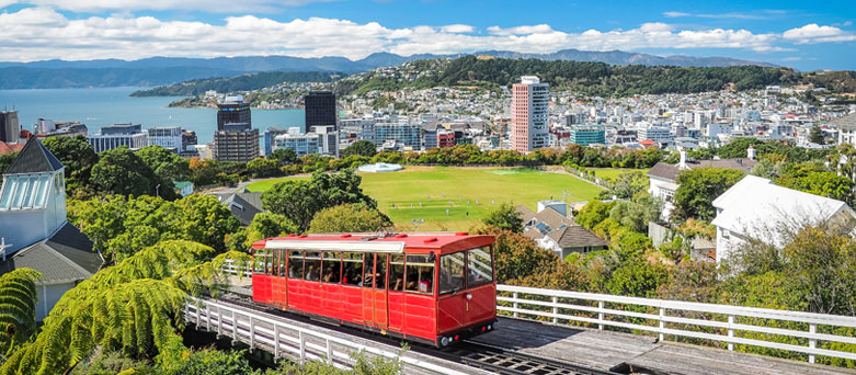 global medics new zealand